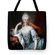 Portrait Of Marie Antoinette of Austria by Martin van Meytens Classical  Fine Art Old Masters Xzendor7 Reproductions - xzendor7