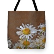 The daisies with pictorial effect Photograph by Rita Di Lalla | Fine ...