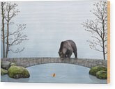 Bear Gazing at Goldfish in Pond Wood Print by Moira Risen