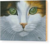 Green Eyed Calico Cat Painting by Sharon Challand - Fine Art America