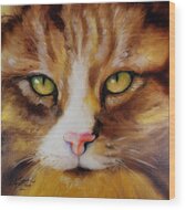 Amber Eyes Sweet Kitty Painting by Marcia Baldwin - Fine Art America