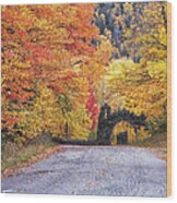 Balsams Road Wood Print