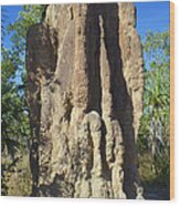 Cathedral Termite Mound Australia Wood Print
