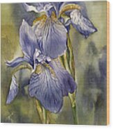 Double Blue Irises Wood Print