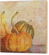 Gourd And Pumpkins Ii Wood Print