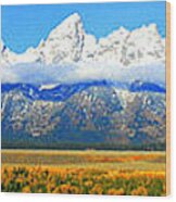 Grand Tetons Wood Print