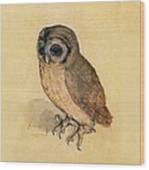 Little Owl Wood Print