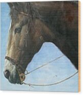 Original Animal Oil Painting Art-horse-04 Wood Print