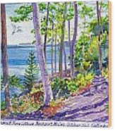 Path Through Fall Woods To Lookout Above Rocky Coast Of Rockport Maine Wood Print