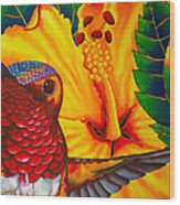 Rufous Hummingbird - Exotic Bird Wood Print