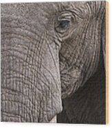 African Elephant Masai Mara Kenya #1 Wood Print
