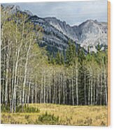 Aspen Trees With Mountains #1 Wood Print