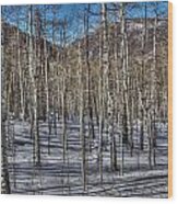 Aspens #2 Wood Print