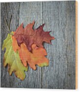 Autumn Leaves On Rustic Wooden Background #1 Wood Print