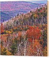 Bear Notch View Wood Print