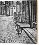 Bicycle And Sparrow 2 Wood Print