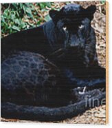 Black Leopard #1 Wood Print