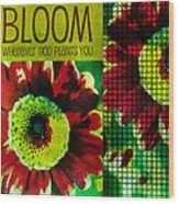 Bloom #1 Wood Print