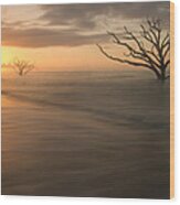 Sunrise At Botany Bay Beach Wood Print