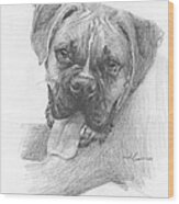 Boxer Dog Pencil Portrait Wood Print