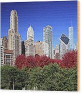 Chicago Skyline And Millennium Park #1 Wood Print