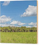 Clouds Over Trees In A Forest, Myakka #1 Wood Print