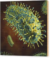 Conceptual Image Of Rabies Virus #1 Wood Print