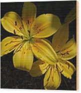 Day Lily  #1 Wood Print