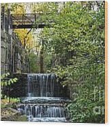 Erie Canal Locks 0331 Wood Print