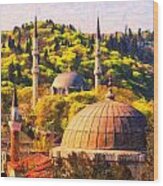 Eyup Sultan Mosque Wood Print