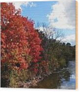 Fall At The Credit River #1 Wood Print