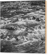 Fall Colors Stream Great Smoky Mountains Painted Bw #2 Wood Print