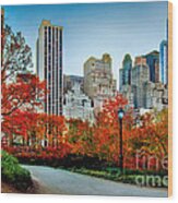 Fall In Central Park Wood Print