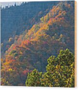 Fall Smoky Mountains #1 Wood Print
