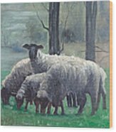 Family Of Sheep #1 Wood Print