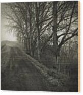 Foggy Trail #1 Wood Print