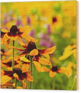 Gloriosa Daisy Wildflowers #1 Wood Print