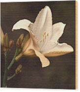 Golden Daylily #1 Wood Print