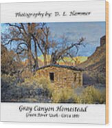 Gray Canyon Homestead Wood Print
