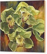 Green Cymbidium Orchid #1 Wood Print