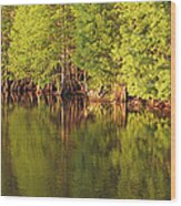 Emerald Lake #1 Wood Print