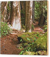 Hiking Trail Wood Print