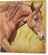 Horses #2 Wood Print
