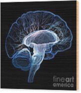 Human Brain Complexity Wood Print