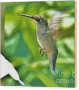 Hummingbird 2 2014 Wood Print