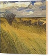 Iowa Prairie Grasses Wood Print