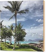 Ko Olina Lagoon #1 Wood Print