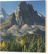 Larch Trees Mt Assiniboine And Sunburst #1 Wood Print