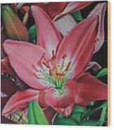 Lily's Garden Wood Print