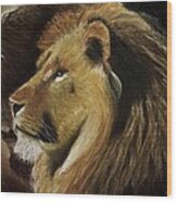 Lion Of Judah #1 Wood Print